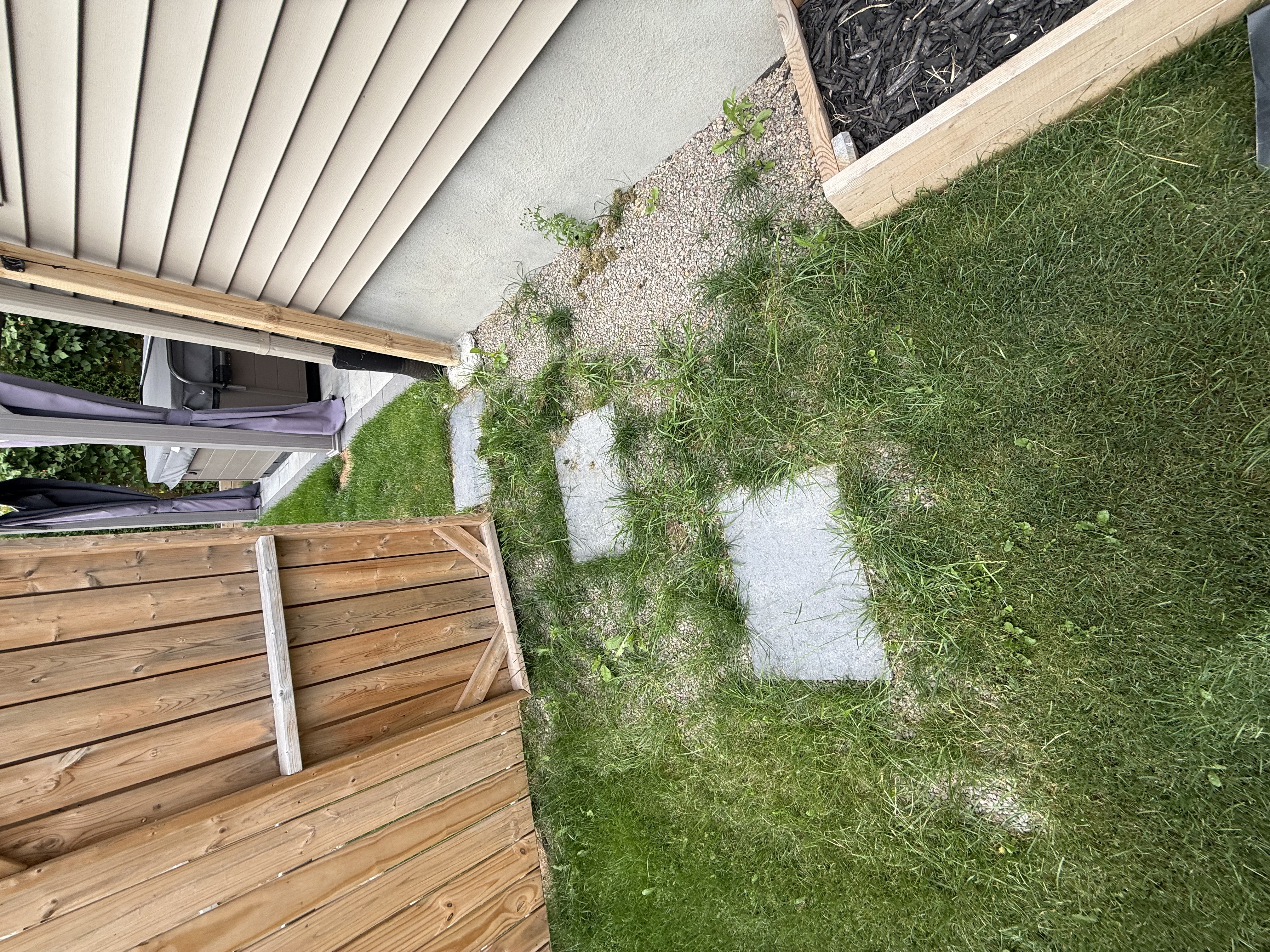 Gordon Landscaping project