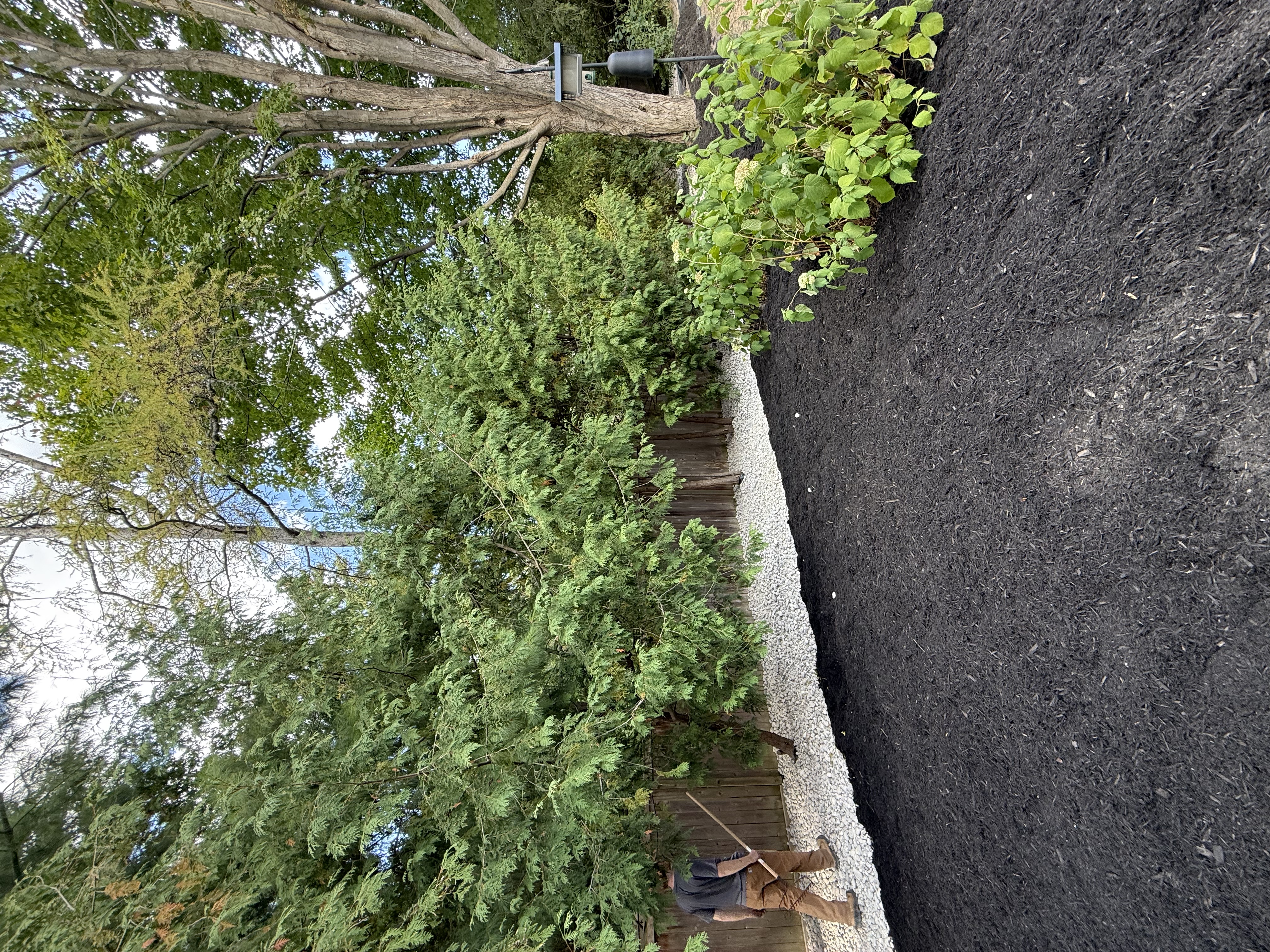 Gordon Landscaping project